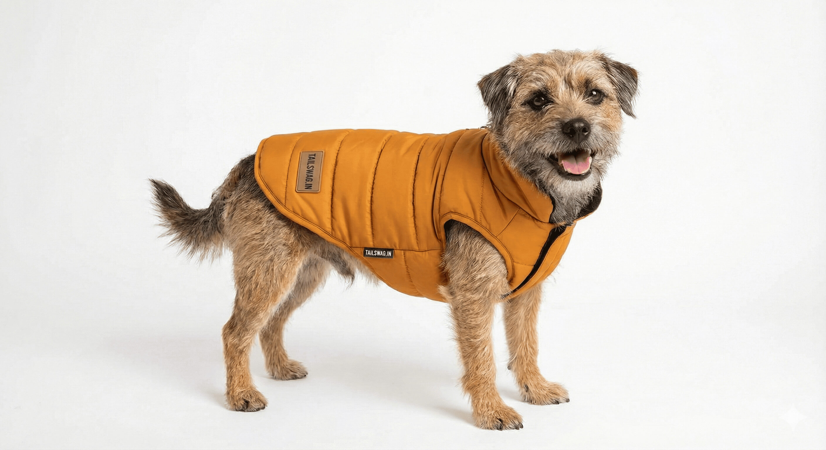 Custom Dog Winter Jackets - Bulk Supplier