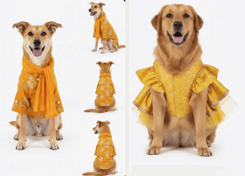 Wholesale Pet Festive and Costume Wear